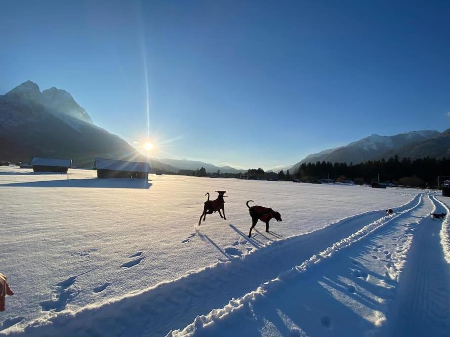 Zentral, Ruhig & Stilvoll Mit Bergpanorama+ Garten Garmisch-Partenkirchen Buitenkant foto